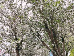 -元大都城垣遗址公园