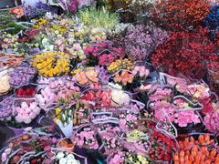 -宝鸡东道花鸟鱼虫市场(吉利花园商场店)