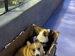 -太平洋海底世界