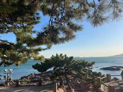 -八大关景区