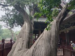 -晋祠博物馆
