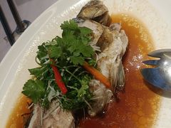 -迎悦轩(维景湾店)