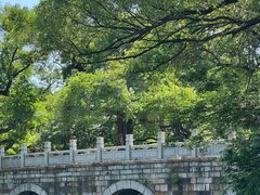 -北陵公园