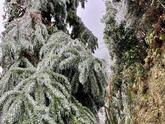 -金子山原生态旅游风景区