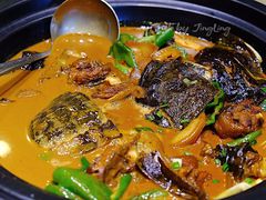 野生甲鱼-茶叁酒肆·楚味江湖(菱角湖店)