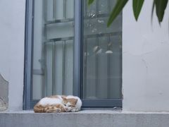-华东理工大学·停车场