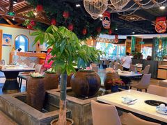 -龙泉人椰子鸡.糟粕醋.海南菜(三亚旗舰店)