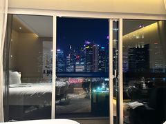 -新加坡瑞士史丹福酒店