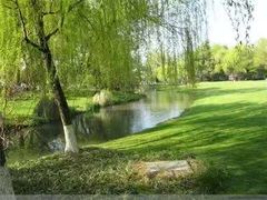 -柳浪闻莺公园