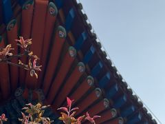 -西宁市东关清真大寺