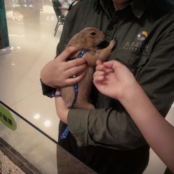 -未来动物城动物主题公园(大悦城店)