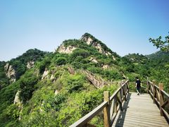 -大岭沟猕猴桃谷风景区