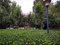 -绿岛公园(滨海新区)