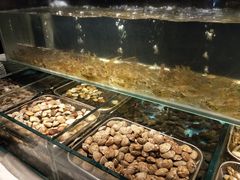 -福州仓山凯悦酒店·Market Cafe Lacucina咖啡厅
