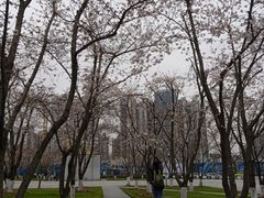 -龙美术馆(西岸馆)