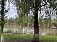 -白鹭湾湿地公园