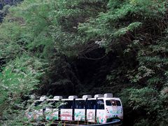-溪口-滕头旅游景区