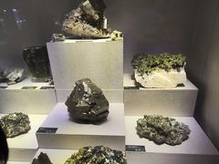 -河南自然博物馆