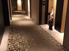 -上海崇明金茂凯悦酒店