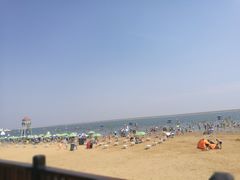 -碧海金沙