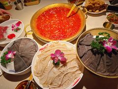 -小龙坎火锅(全球旗舰店)