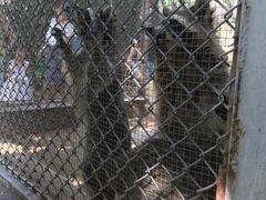 -西安秦岭野生动物园