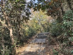 -杭州半山国家森林公园