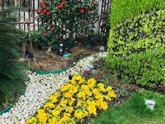 -美豪怡致酒店(上海长寿路店)