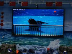 -多彩贵州城极地海洋世界