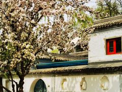 -海棠花溪(元大都城垣遗址公园)