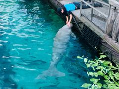 -悉尼海洋生物水族馆