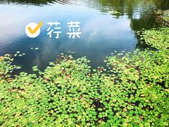 -金陵矩阵(聚宝山公园店)