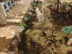 -城墙拐拐火锅(三峡广场黑金冠店)