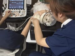 -爱侣宠医·鹦鹉专科·小型哺乳类·异宠专科(灵石路店)