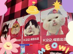 -K22.酸奶草莓(长春上海路万达店)