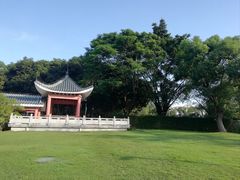 -紫马岭公园