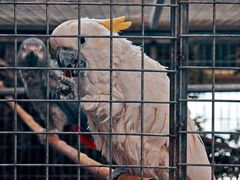 -鄂尔多斯野生动物园