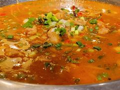 -老号尤兔头(幸福店)