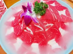 -南门涮肉(东单店)