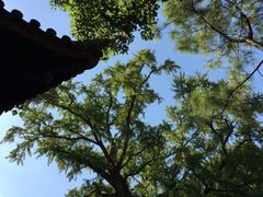 -无锡惠山寺