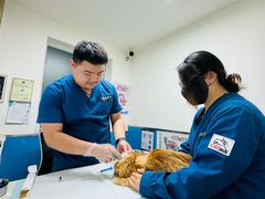 -康爱犬猫诊所·牙专科·骨外科·影像内科(丰宁店)