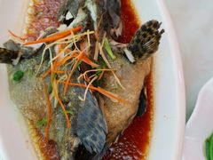 -范饭椰林川湘味海鲜·椰子鸡(三亚湾椰梦长廊店)