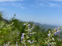 -北京西山国家森林公园