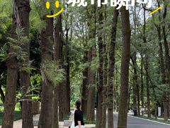 -南宁南湖公园