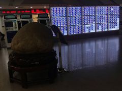 -上海市东方医院(总院)