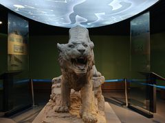 -鄂尔多斯青铜器博物馆