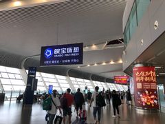 -合肥新桥国际机场-航站楼