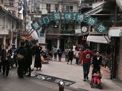 -猫咪博物馆(顶澳仔猫街店)