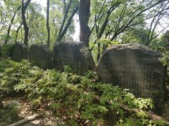 -上海佘山国家森林公园天马山园