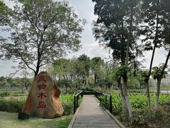 -映月湖公园